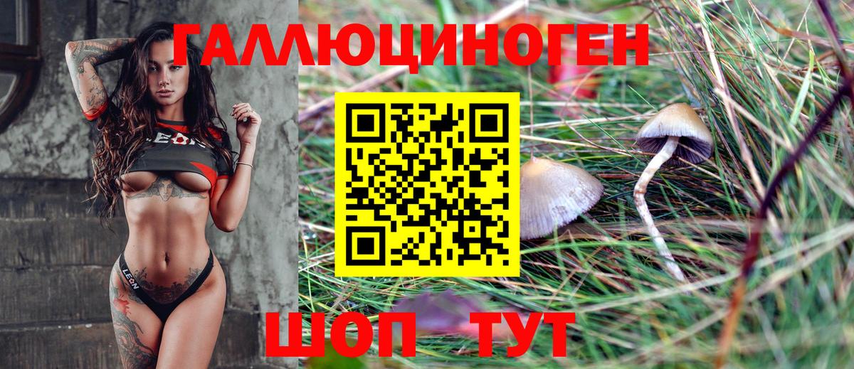 Галлюциногенные грибы MAGIC MUSHROOMS Валуйки